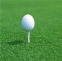 Annual Golf Tournament Details